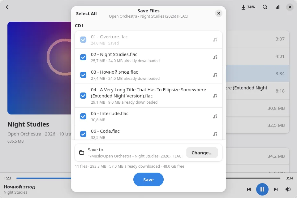 The Save Files dialog listing FLAC tracks with sizes and what is already downloaded